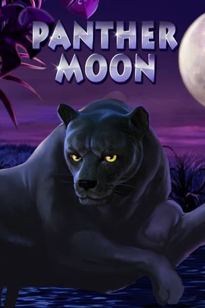 Panther Moon