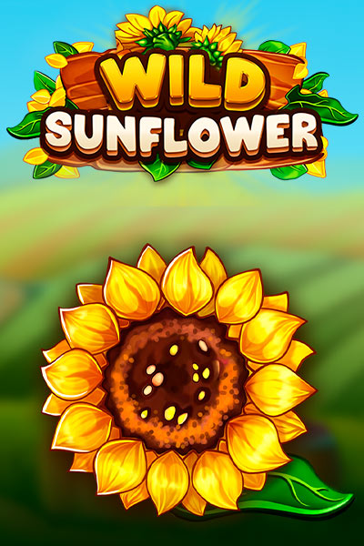 Wild Sunflower